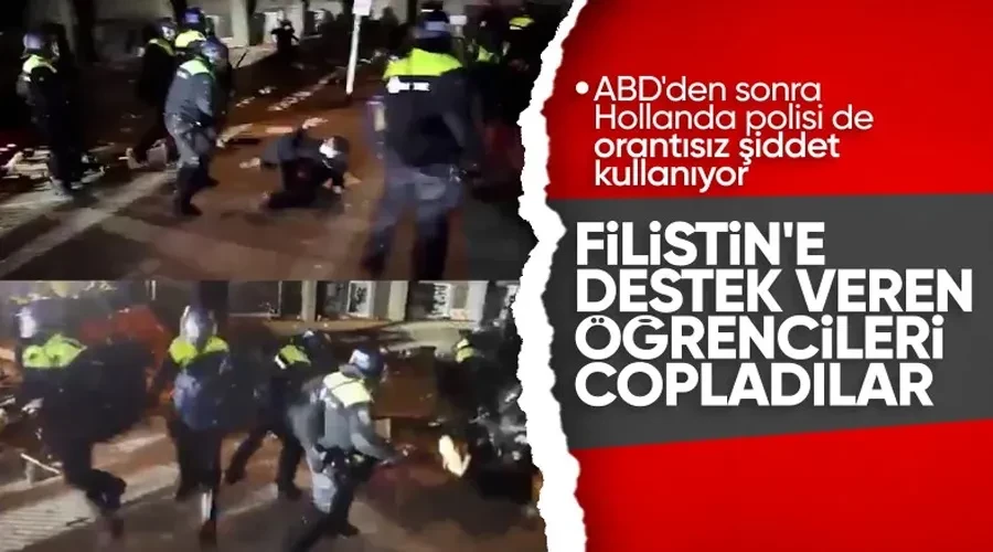 Hollanda polisi Filistin