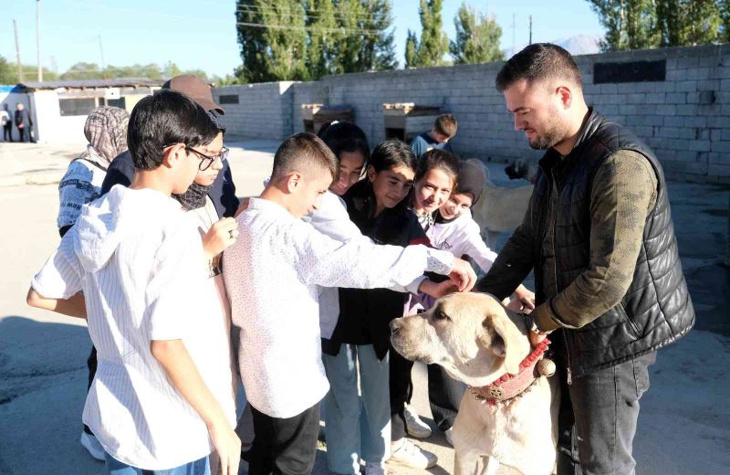 İkinci el otomobil fiyatına kangal
