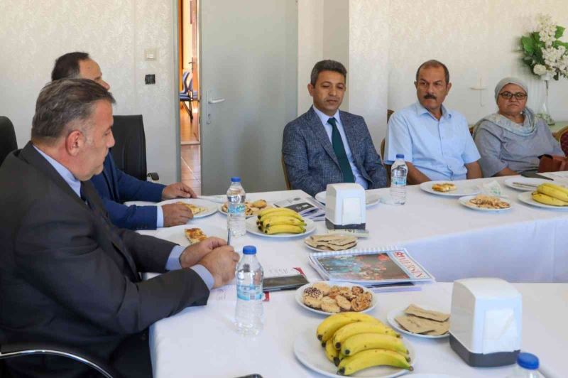 Koca: 
