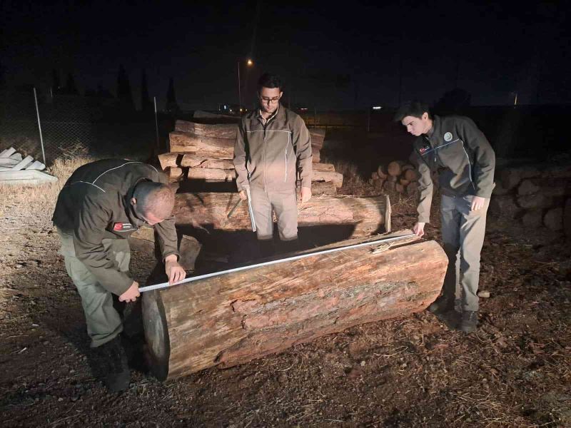 İzmir’de ormanda ağaç kesen 3 kişi suçüstü yakalandı
