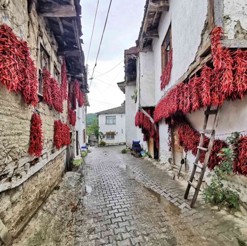 100 fotoğraf sever ve fotoğraf sanatçılarının rotası Bilecik oldu
