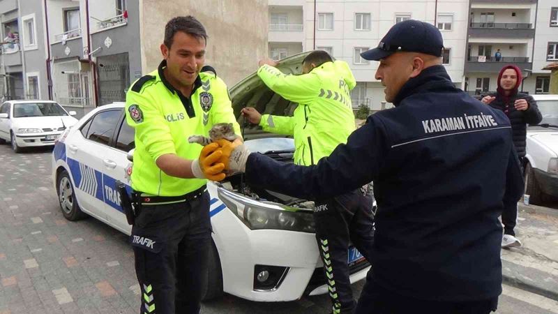 Otomobile ve polis aracının motoruna giren kediyi çıkartmak için seferber oldular
