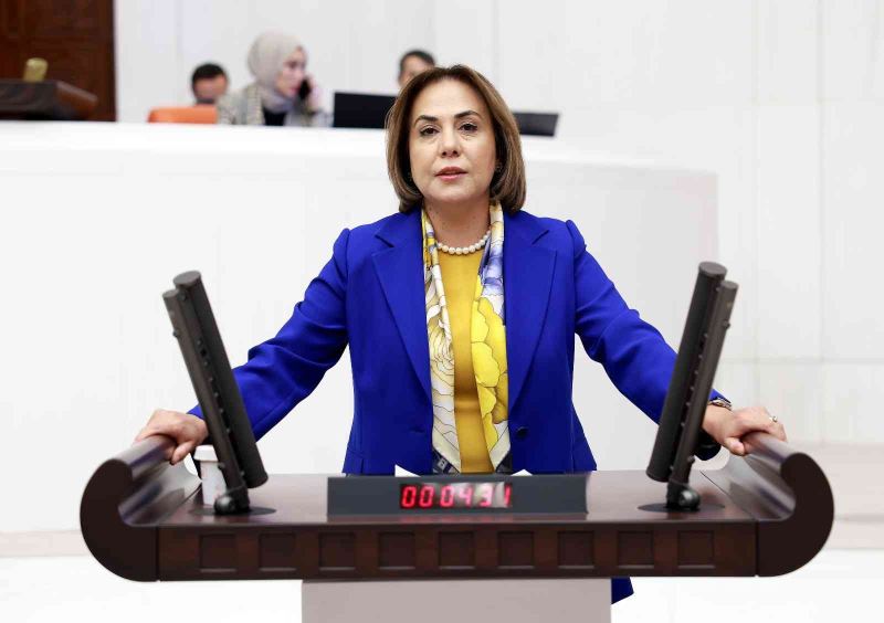 Yılmaz: 