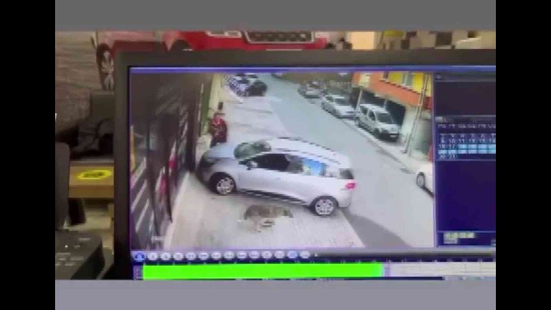 Sancaktepe’de bir vatandaş köpek korkusundan arabanın üstüne çıktı
