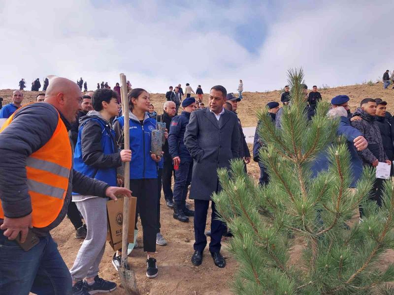 Eski maden ocağı yeşerecek
