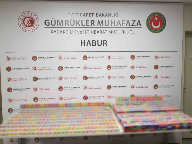 Habur Sınır Kapısı’nda bini aşkın elektronik sigara ele geçirildi

