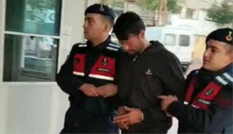 Çiftçilerin kabusuna ‘Yarasa avı’ operasyonu
