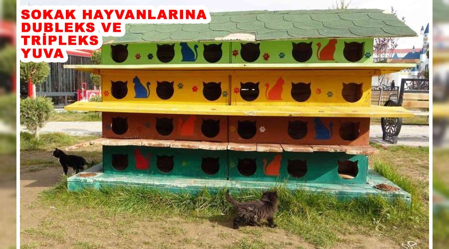 Sokak hayvanlarına dubleks ve tripleks yuva