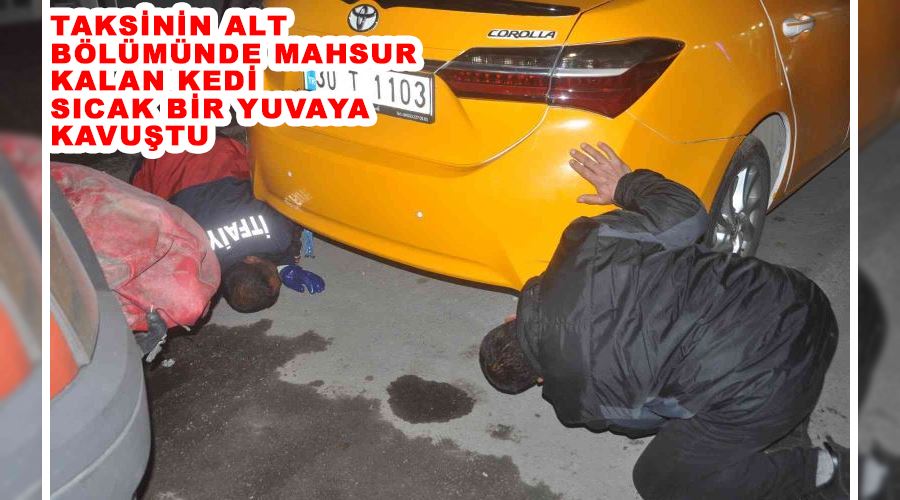 Taksinin alt bölümünde mahsur kalan kedi sıcak bir yuvaya kavuştu