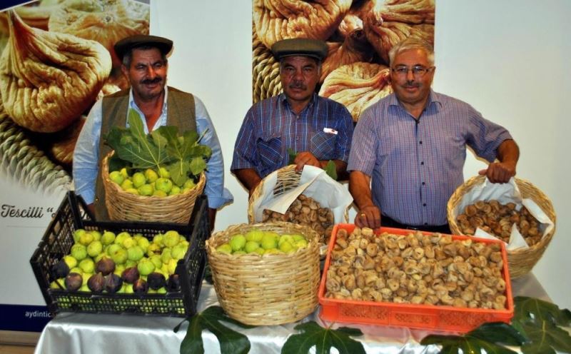 İncirin 272 çeşit dişisi, 58 çeşit erkeği olmak üzere 330 türü bulunuyor
