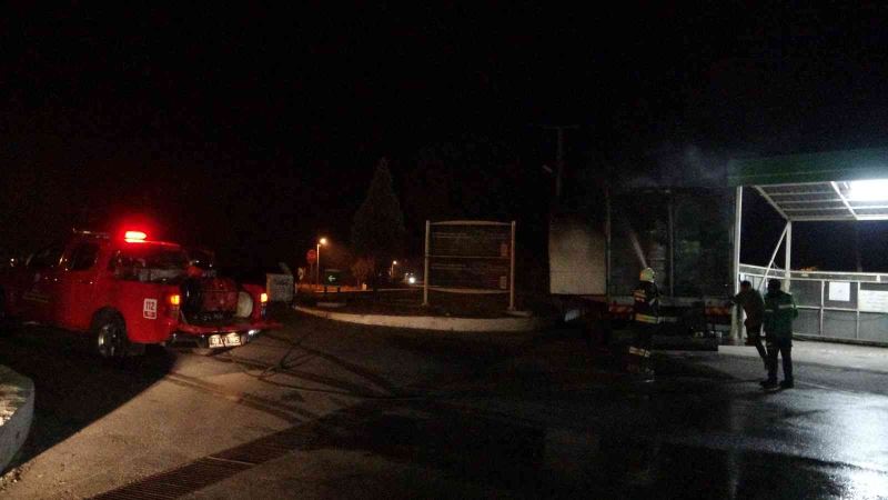 Muğla’da yunus timlerinin dikkati sayesinde faciadan dönüldü
