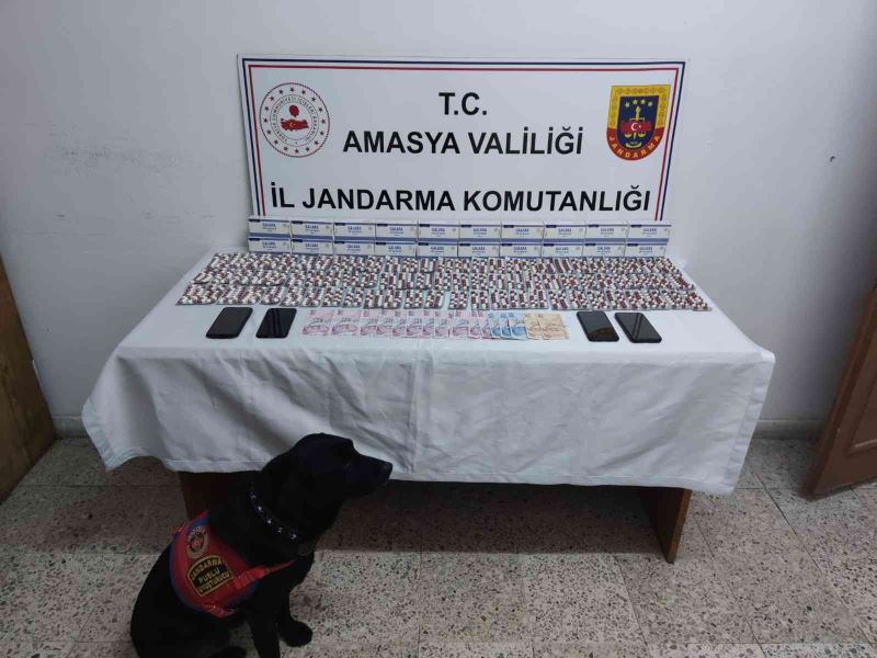 Amasya’da jandarmanın operasyonunda bin288 adet uyuşturucu hap ele geçirildi
