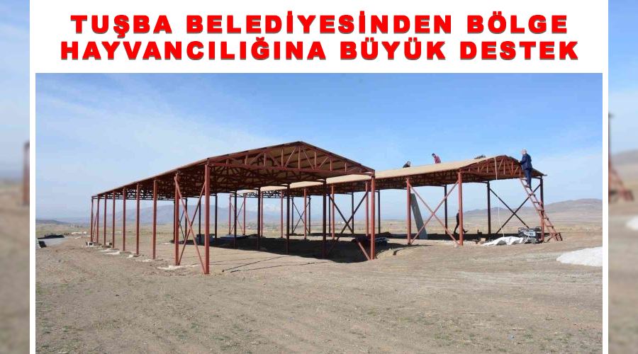 Tuşba Belediyesinden bölge hayvancılığına büyük destek