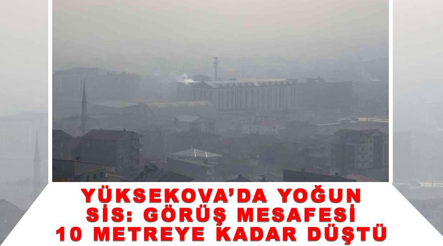 Yüksekova’da yoğun sis: Görüş mesafesi 10 metreye kadar düştü
