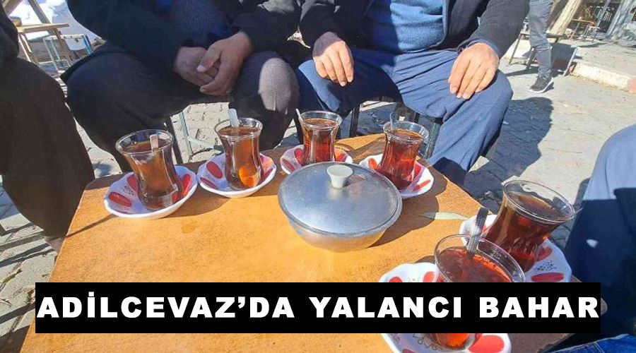 Adilcevaz’da yalancı bahar