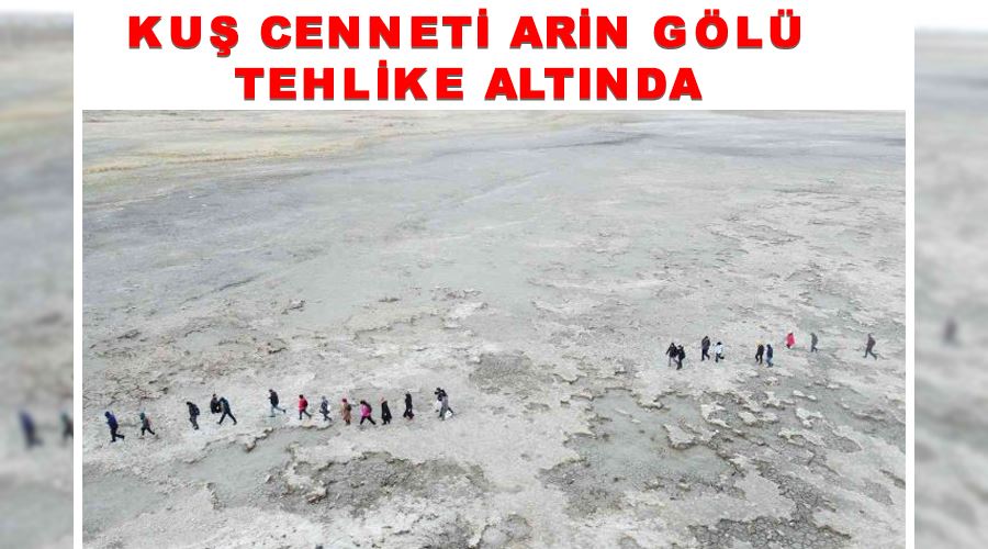 Kuş cenneti Arin Gölü tehlike altında