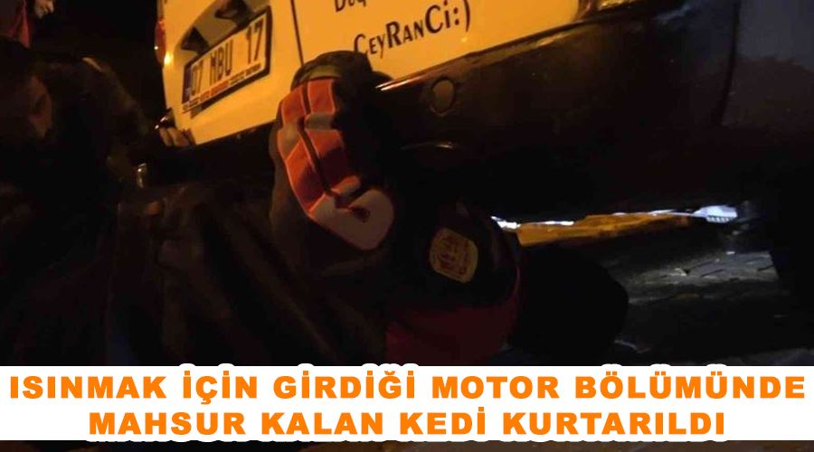 Isınmak için girdiği motor bölümünde mahsur kalan kedi kurtarıldı