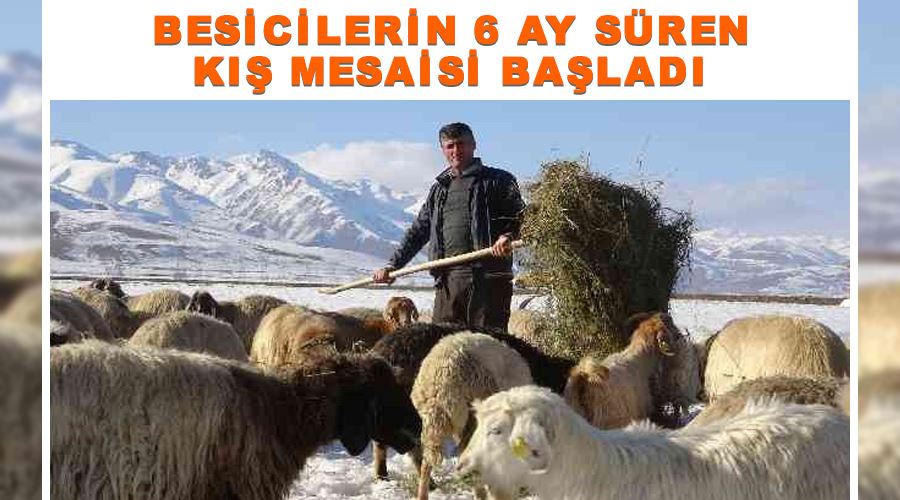 Besicilerin 6 ay süren kış mesaisi başladı