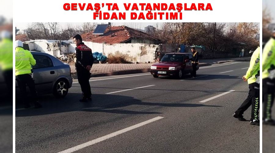Gevaş’ta vatandaşlara fidan dağıtımı
