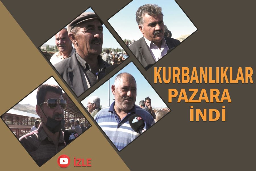 Kurbanlıklar pazara indi