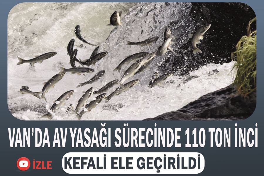 Van’da av yasağı sürecinde 110 ton inci kefali ele geçirildi