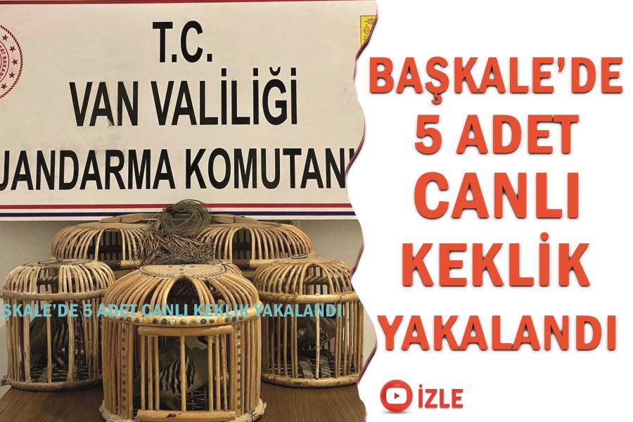 Başkale’de 5 adet canlı keklik yakalandı