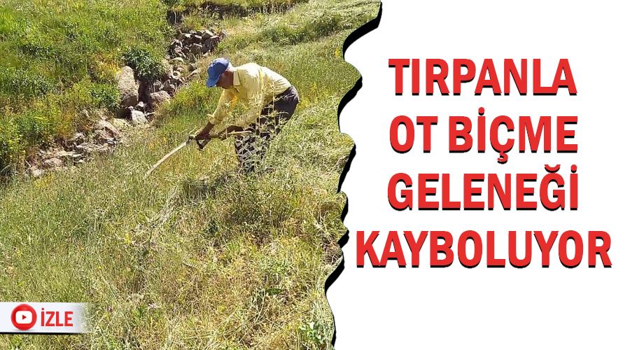 Tırpanla ot biçme geleneği kayboluyor