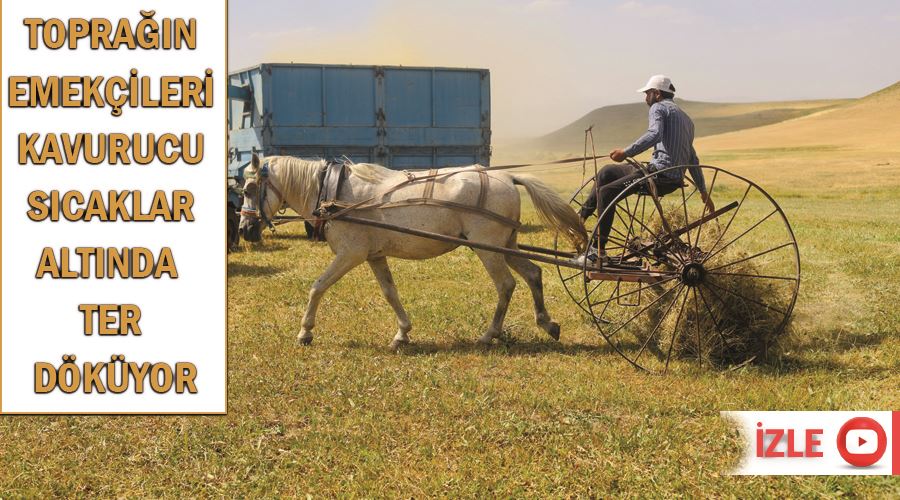 Toprağın emekçileri kavurucu sıcaklar altında ter döküyor