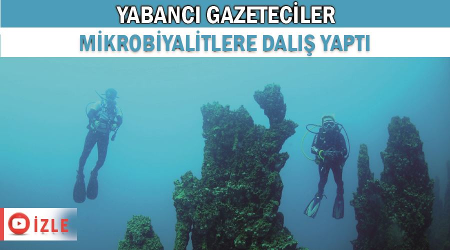 Yabancı gazeteciler, mikrobiyalitlere dalış yaptı