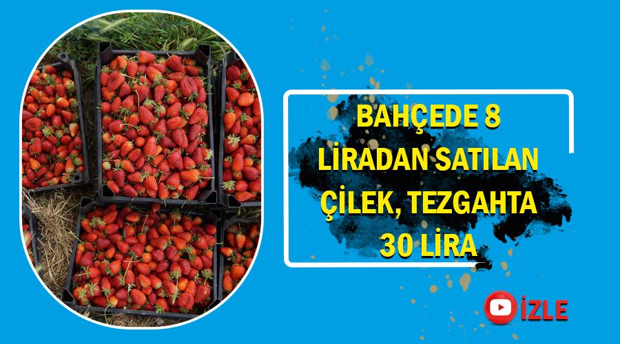 Bahçede 8 liradan satılan çilek, tezgahta 30 lira