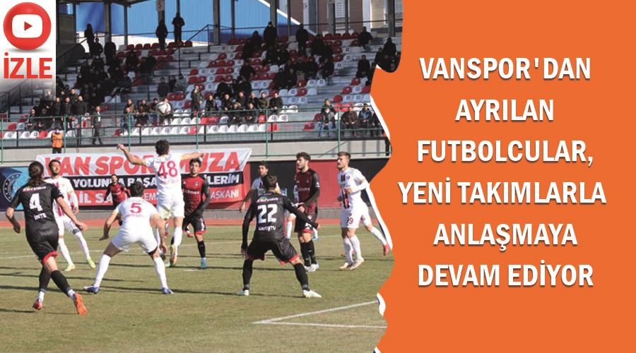 Vanspor