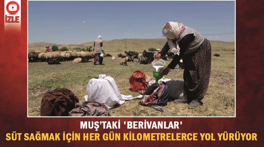 Muş’taki 