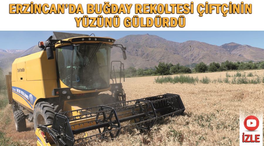 Erzincan’da buğday rekoltesi çiftçinin yüzünü güldürdü