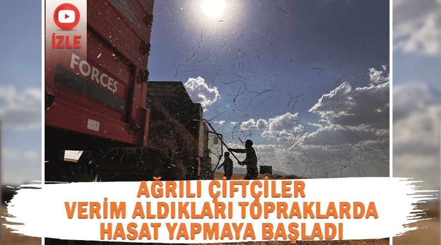 Ağrılı çiftçiler verim aldıkları topraklarda hasat yapmaya başladı