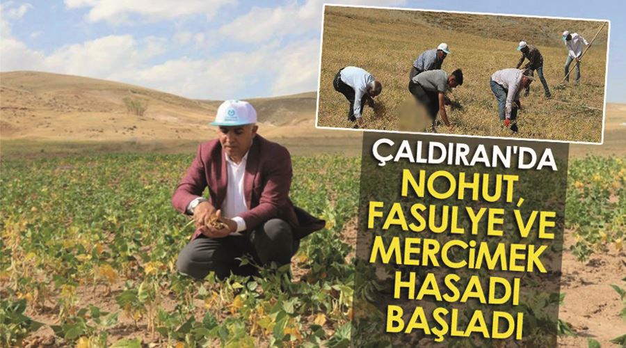 Çaldıran