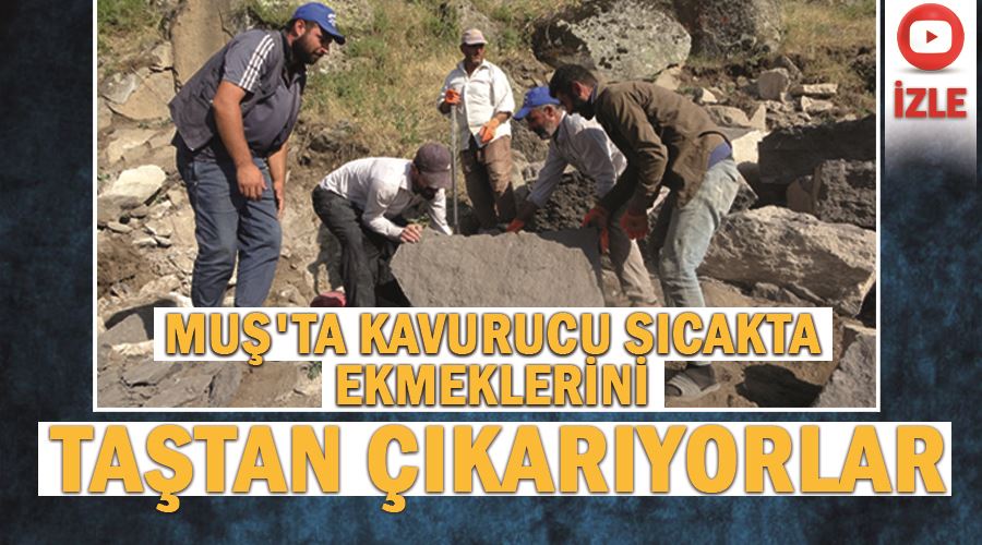 Muş