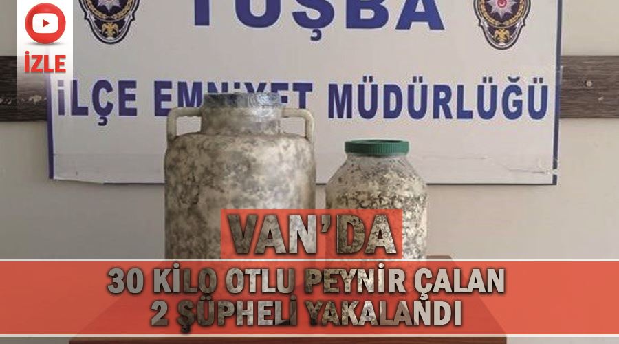 Van’da 30 kilo otlu peynir çalan 2 şüpheli yakalandı