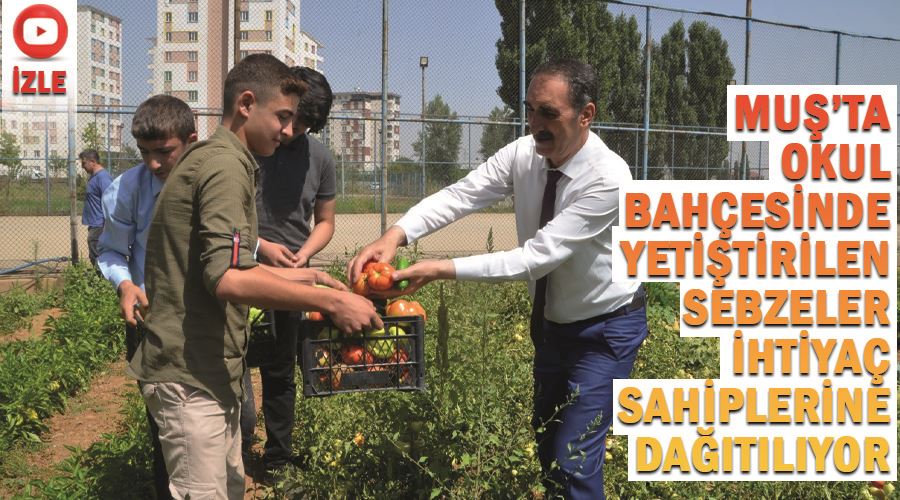 Muş’ta okul bahçesinde yetiştirilen sebzeler ihtiyaç sahiplerine dağıtılıyor