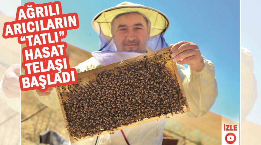 Ağrılı arıcıların “tatlı” hasat telaşı başladı