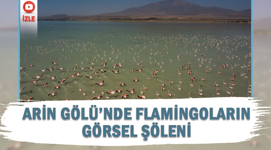 Arin Gölü’nde flamingoların görsel şöleni