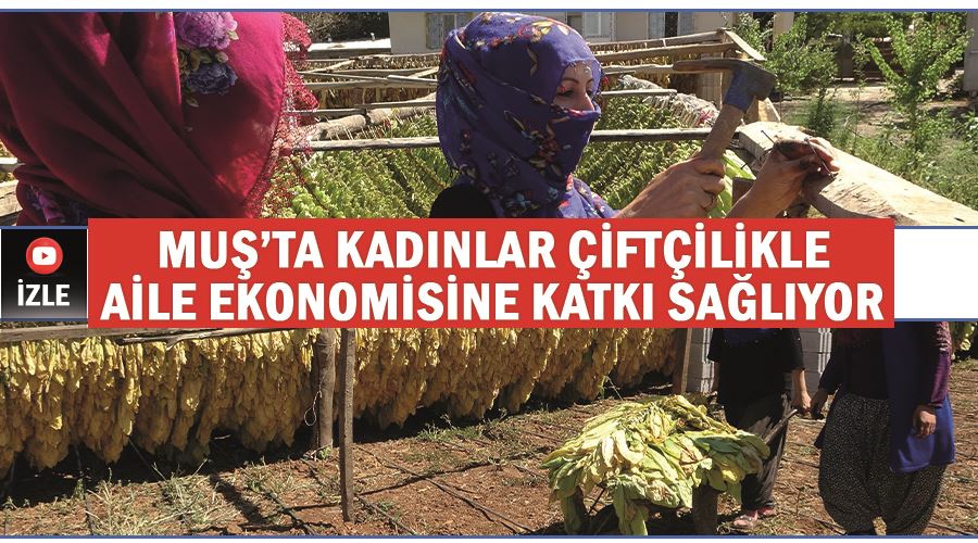 Muş’ta kadınlar çiftçilikle aile ekonomisine katkı sağlıyor