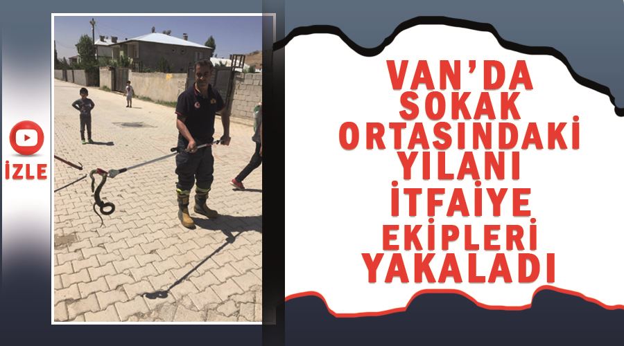 Van’da sokak ortasındaki yılanı itfaiye ekipleri yakaladı