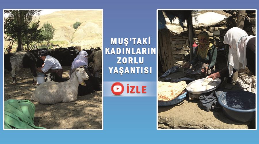 Muş’taki kadınların zorlu yaşantısı
