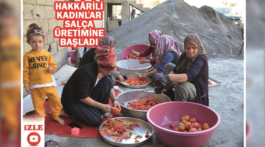 Hakkârili kadınlar salça üretimine başladı