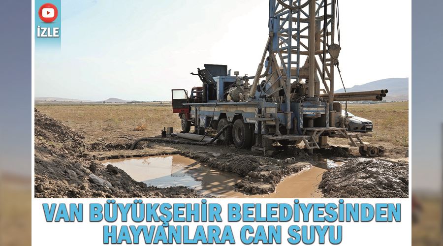 Van Büyükşehir Belediyesinden hayvanlara can suyu