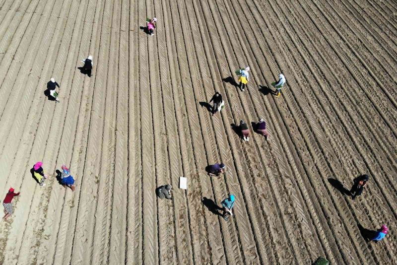 ÇKS’de dijital dönüşüm başladı
