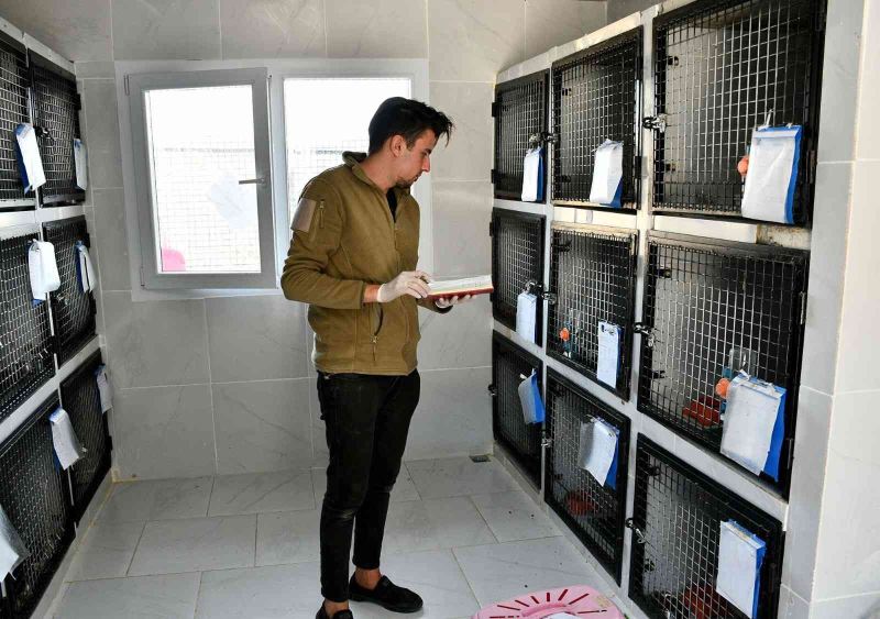 Kuşadası Belediyesi’nden kedilere özel tedavi ünitesi
