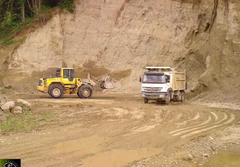 Fotokapana takılanlar bu kez şaşırttı
