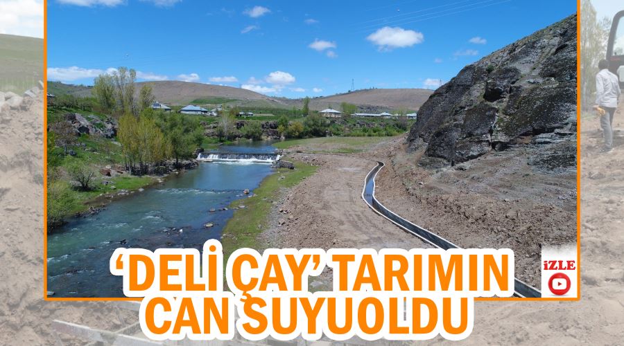  ‘Deli çay’ tarımın can suyu oldu