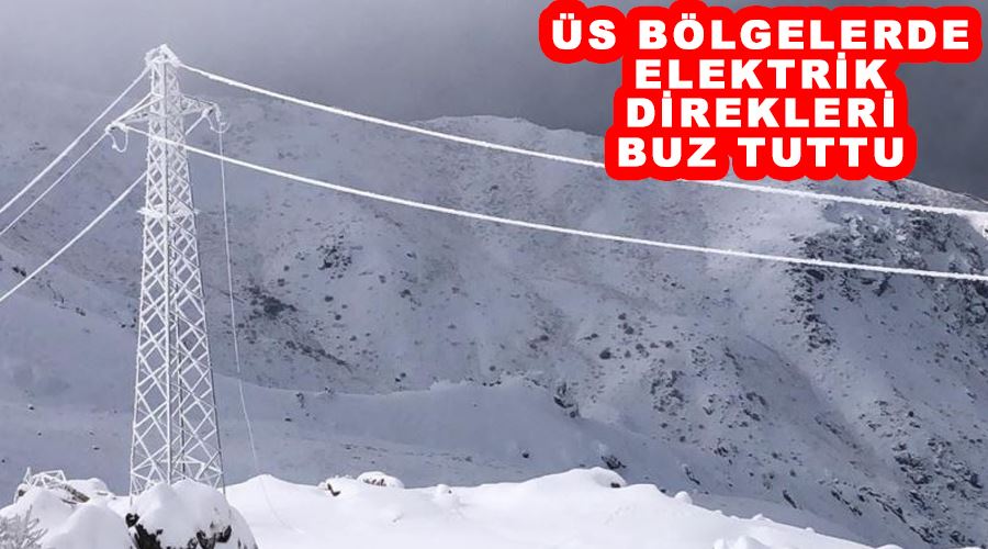 Üs bölgelerde elektrik direkleri buz tuttu